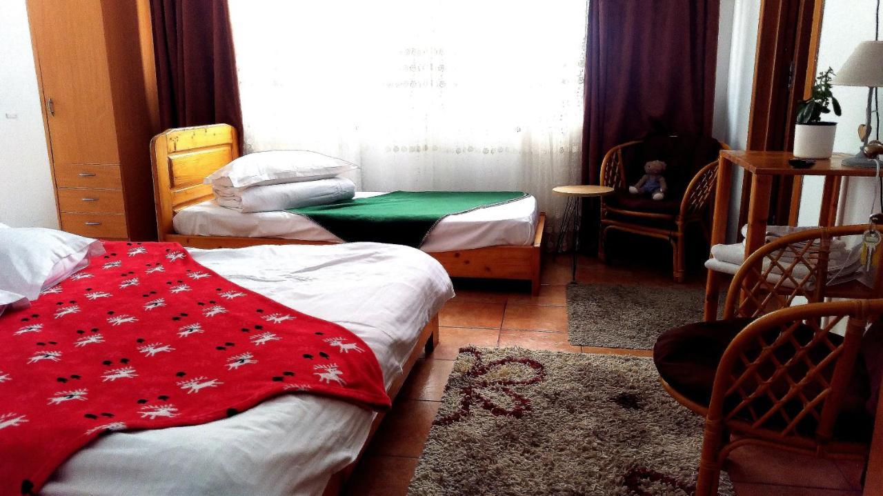 Hotel Casa Zura Buşteni Exterior foto