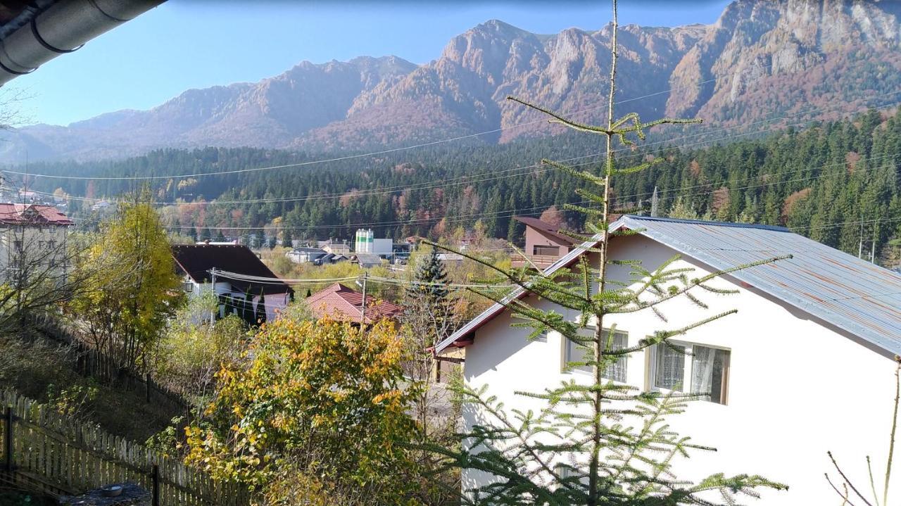 Hotel Casa Zura Buşteni Exterior foto